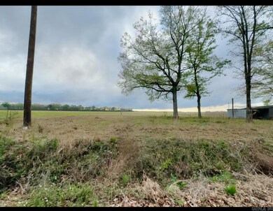 21 Pike Ln, Almyra, AR 72003 - photo 3