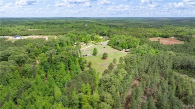 15305 Watermelon Rd, Tuscaloosa, AL 35406 - photo 7