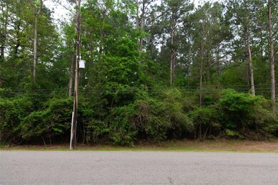 9203 Deer Lodge Rd, Magnolia, TX 77354 - photo 3