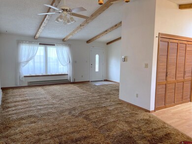 160 NE Knottypine Ct, Cedaredge, CO 81413 - photo 4