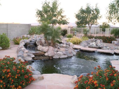 KOI POND