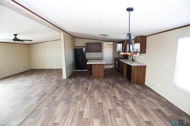 4213 Mimosa St, Carlsbad, NM 88220 - photo 2