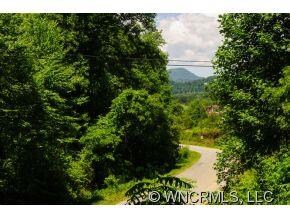 102 Hayes Cove Rd, Leicester, NC 28748 - photo 2