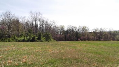 0 Locust Rd unit 577879, Rutledge, TN 37861 - photo 6