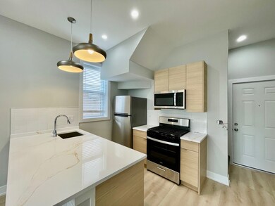 2238 W 24th St unit 2F, Chicago, IL 60608 - photo 4