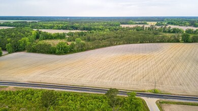 0 Tbd Sandhill Rd unit LotWP002 23456478, Marion, SC 29571 - photo 4