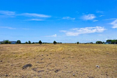 TBD W Pecan Tree Rd, Waxahachie, TX 75165 - photo 6