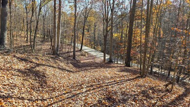 984 Nibert Rd unit (Ponds Poplar Ridge, Gallipolis, OH 45631 - photo 6