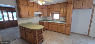 18 Daisy Ln, Babbitt, MN 55706 - photo 6
