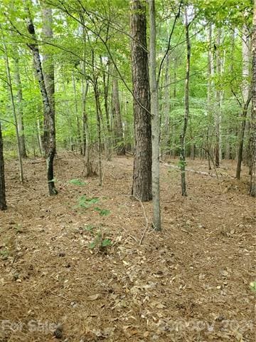 Lot #42 Cornett Dr unit 42, Iron Station, NC 28080 - photo 2