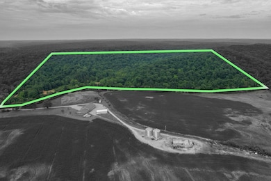 21202 State Highway Mm, Grassy, MO 63751 - photo 3