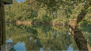 217 Summer Rd, Pocahontas, AR 72455 - photo 3