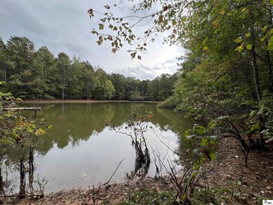 00 Highway 552, Downsville, LA 71234 - photo 3