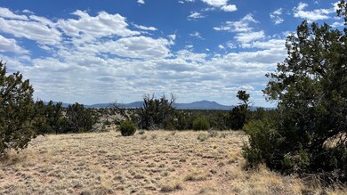 0 Warpath Rd unit 23912666, Quemado, NM 87829 - photo 5