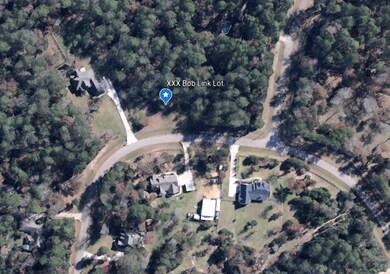 XXX Bob Link, Magnolia, TX 77484 - photo 2