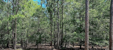 2955 Verrazano Ln SE, Lockwoods Folly, NC 28422 - photo 5