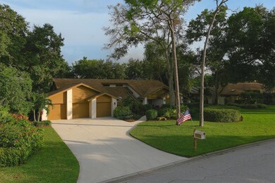 Expansive Driveway