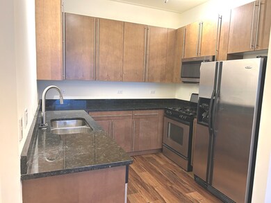 873 N Larrabee St unit 207, Chicago, IL 60610 - photo 4