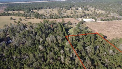 TBD Road 3813, Cleveland, TX 77328 - photo 4