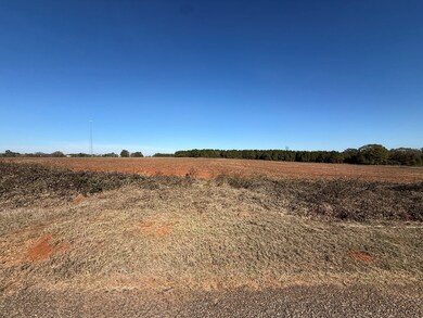 Lot 8 County Road 6, Headland, AL 36345 - photo 5