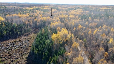 76 Wolf Run Trail, Greenbush, ME 04418 - photo 3