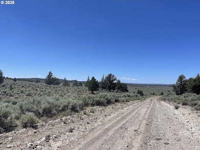 0 Benjamin Lake Rd unit L 502 528239259, Christmas Valley, OR 97641 - photo 3