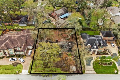 11733 Joan of Arc Dr, Houston, TX 77024 - photo 3