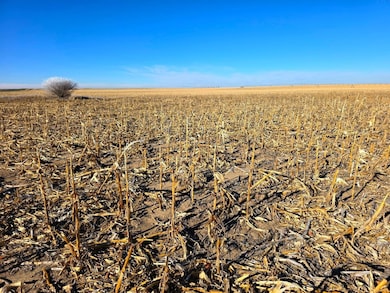 Tbd Road 143, Lodgepole, NE 69149 - photo 5