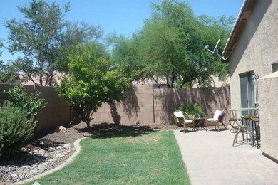 Back yard