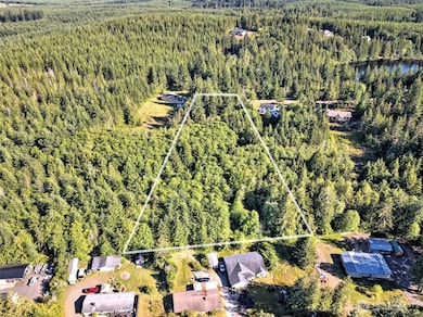 221 W Little Nahwatzel Dr, Shelton, WA 98584 - photo 5