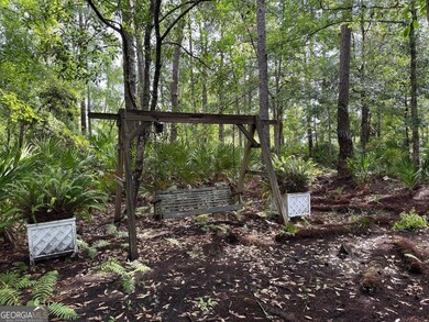 0 Black Tern Way, Waverly, GA 31565 - photo 6