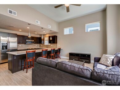 851 Baum St unit D, Fort Collins, CO 80524 - photo 6