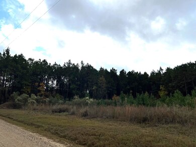 0 Sporsman Paradise Rd, Many, LA 71449 - photo 3