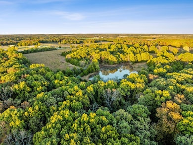 000 County Road 1044, Auxvasse, MO 65231 - photo 4