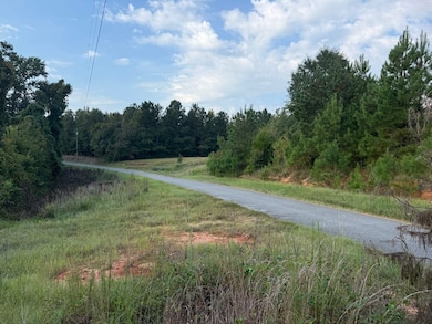 Blizzard Rd, Meridian, MS 39305 - photo 4