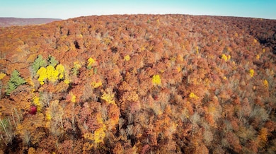 7667 Hickory Bottom Rd, Naples, NY 14512 - photo 6