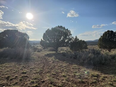 Cedar Trees on Property