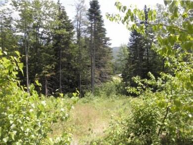 6 Lost Pass Rd, Waterville Valley, NH 03215 - photo 7
