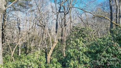 9999 Yates Ave unit PT A, Black Mountain, NC 28711 - photo 5