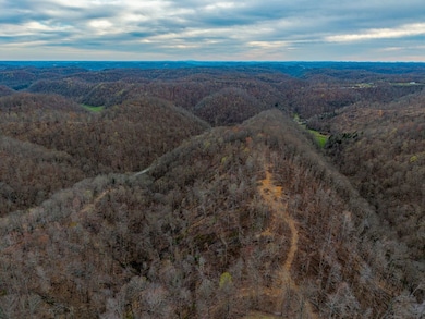 1438 Wartrace Rd, Red Blng Springs, TN 37150 - photo 3