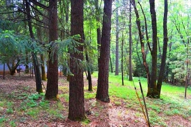 Great opportunity to live amongst the trees yet be