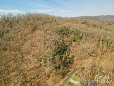 0 Shining Rock Path unit 12 CAR4241175, Horse Shoe, NC 28742 - photo 6