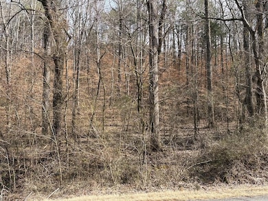 Tract 1A Cleveland Hwy unit 1A, Cohutta, GA 30710 - photo 2
