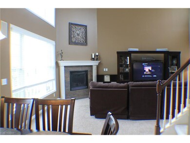 CUSTOM BLINDS ON ALL THE WINDOWS VIEW OF THE FAMIL