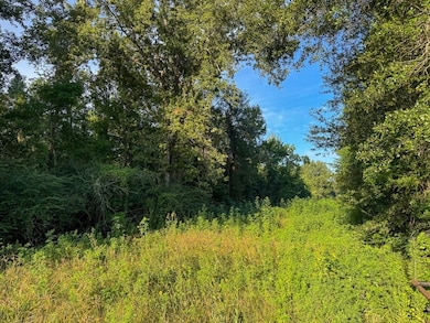 0 Edgerly Rd unit 24516946, Dequincy, LA 70633 - photo 7