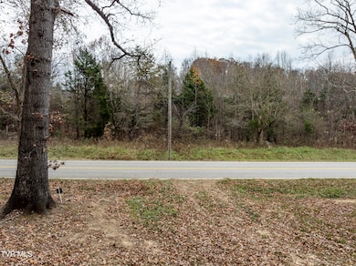 211 Rocky Branch Rd, Blountville, TN 37617 - photo 7