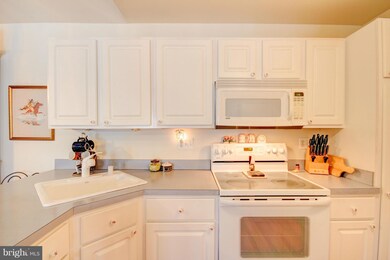 2003 Rudy Serra Dr unit 3C, Sykesville, MD 21784 - photo 7