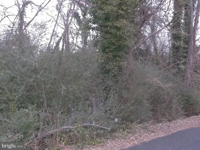 0 5th St unit VAWE117814, Colonial Beach, VA 22443 - photo 2