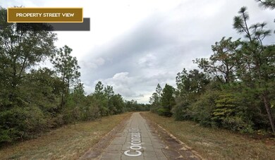 0 Coronado Dr unit 25533796, Chipley, FL 32428 - photo 4