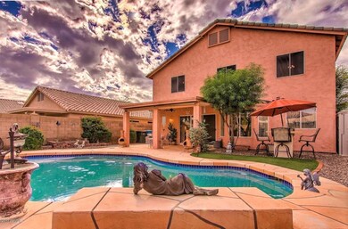 backyard 3